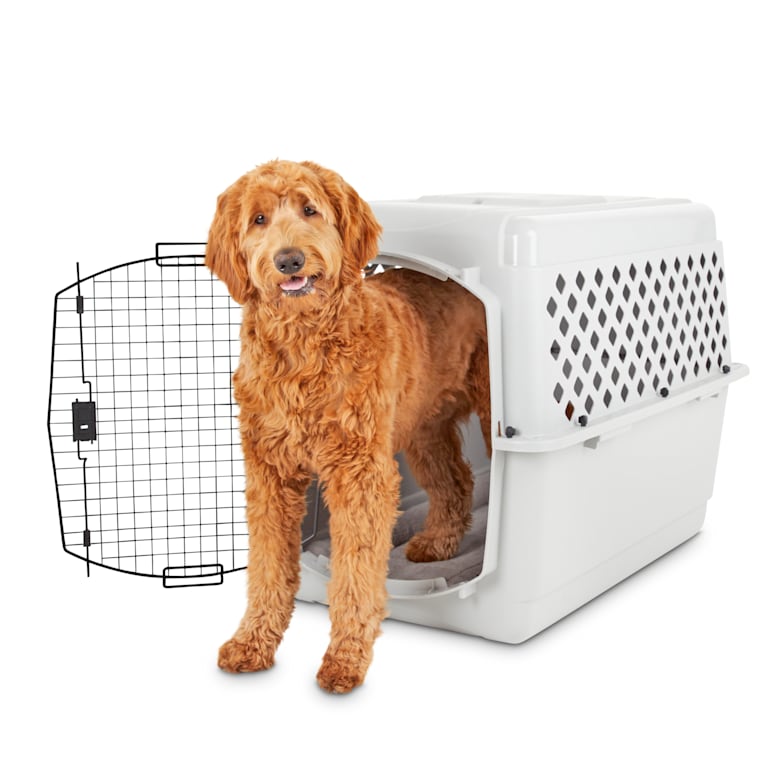 you & me dog crate