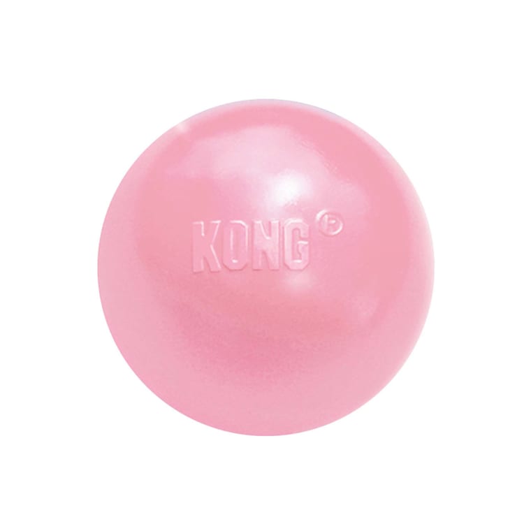 puppy kong ball