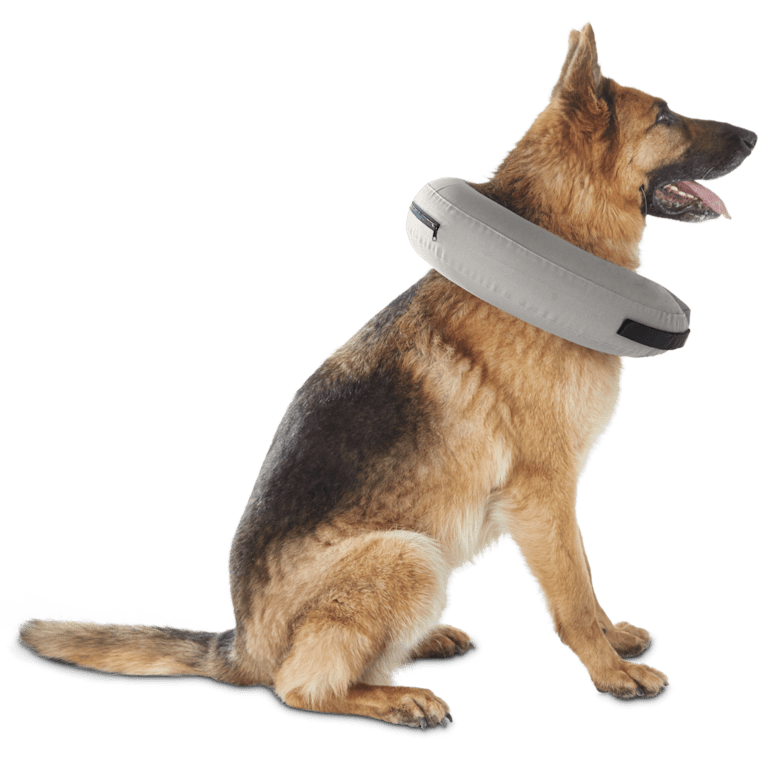 inflatable dog cone petco