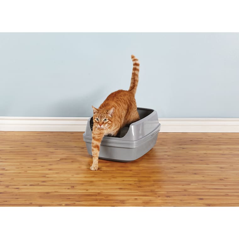 so phresh cat litter australia