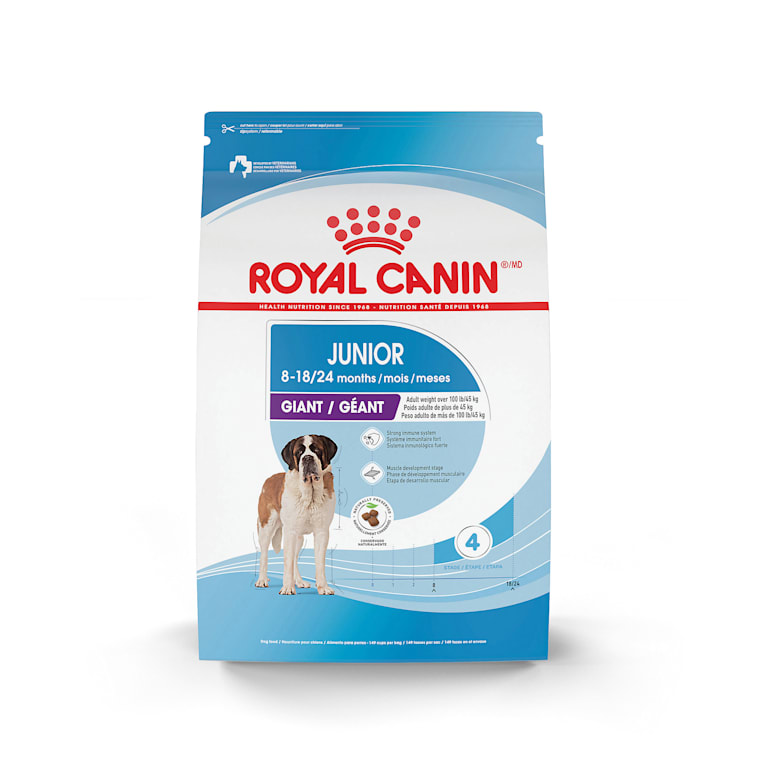 Junior Giant Royal Canin 2025 | www.longbikes.com