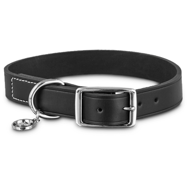 large dog leashes and collars