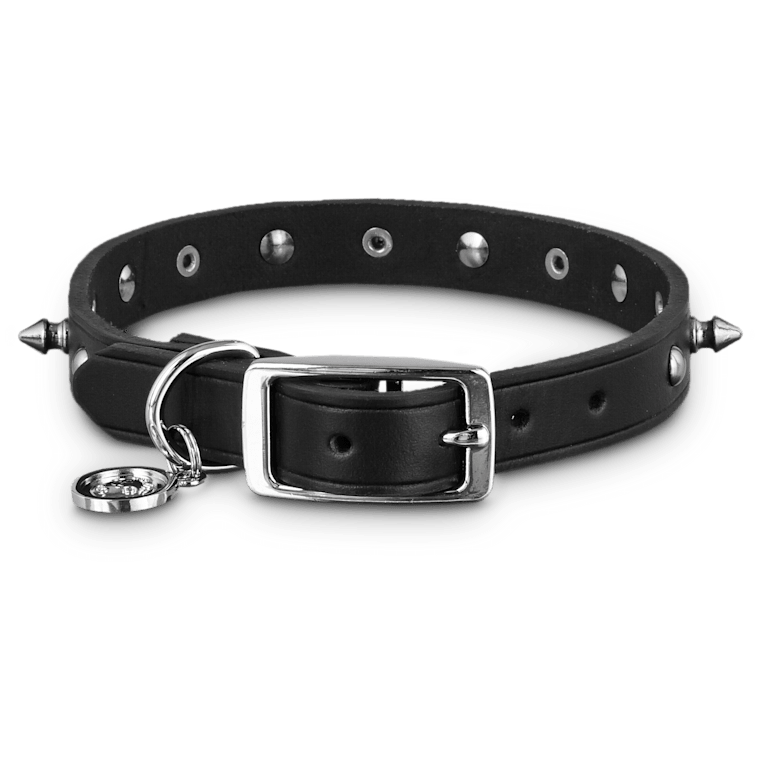 petco spiked collar