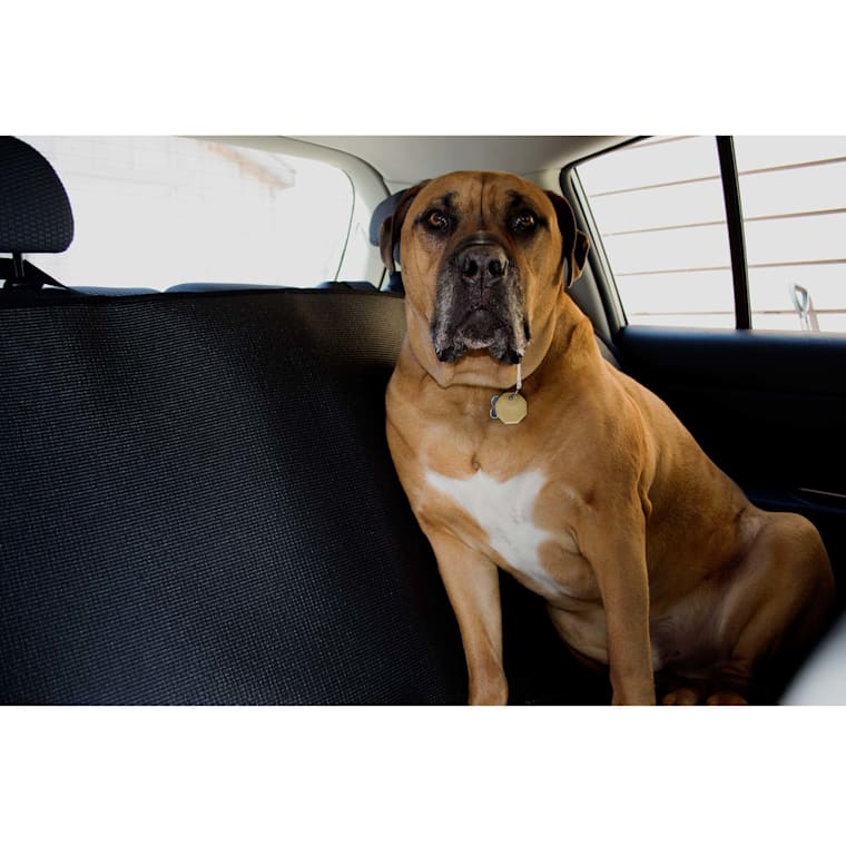 dog car seat covers petstock