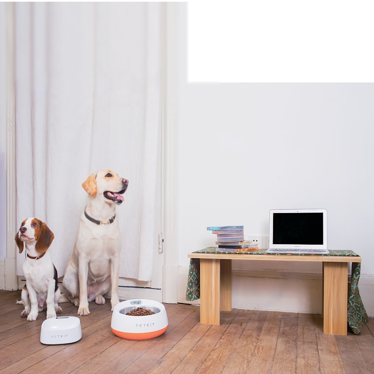 petco automatic dog feeder