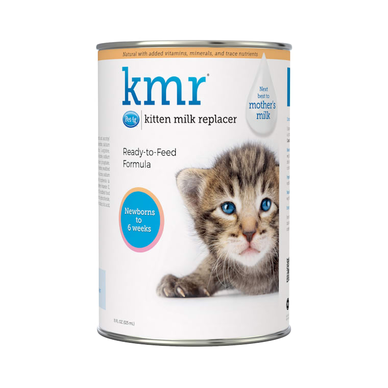 petco cat milk