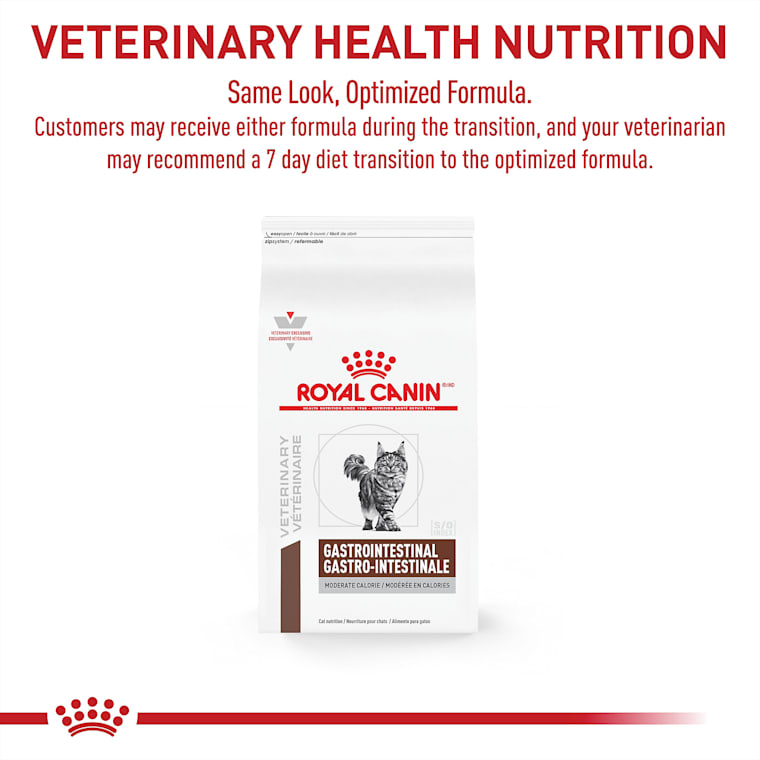 royal canin gastrointestinal cat dry