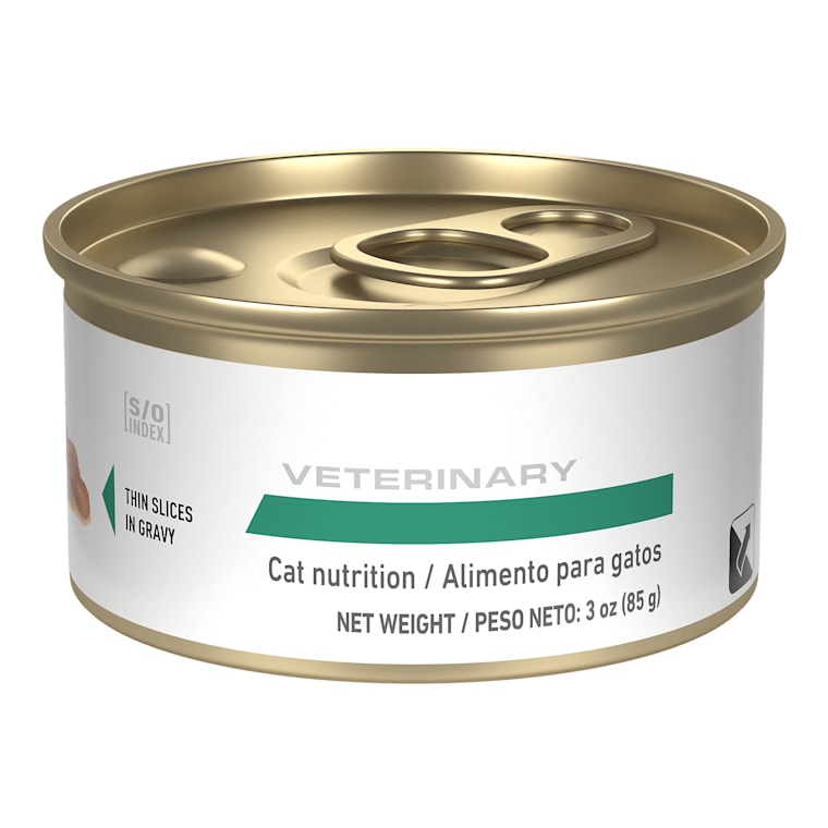 Royal canin glycobalance shop wet cat food