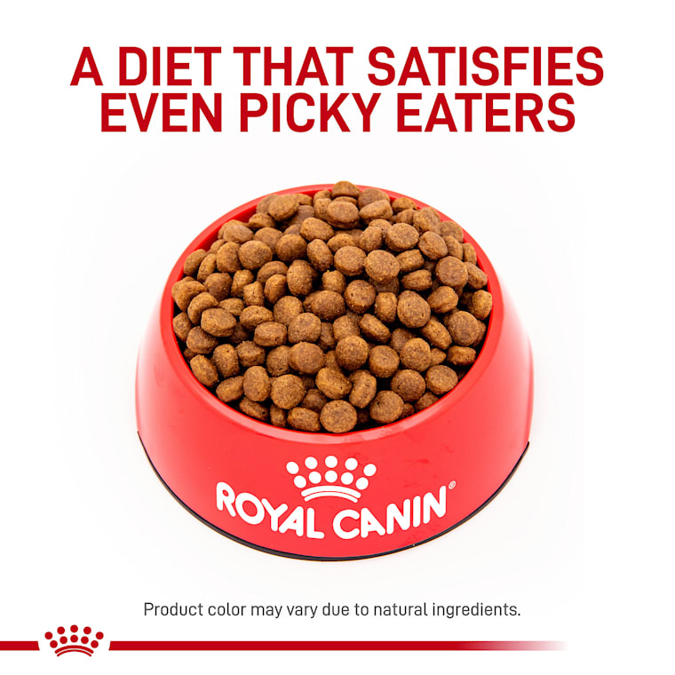 royal canin pr