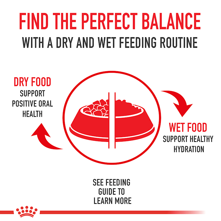 royal canin urinary uc low purine