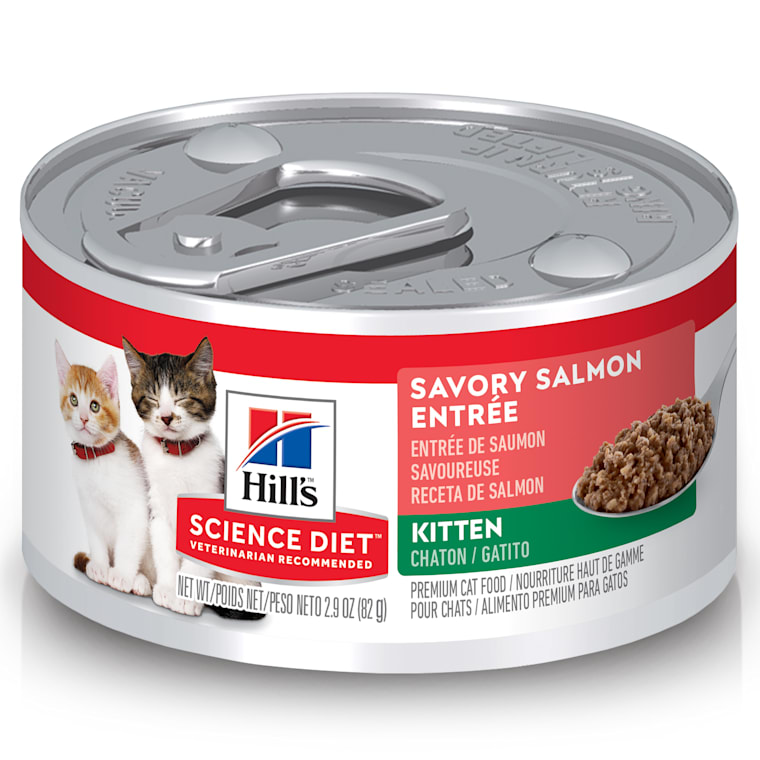 petco science diet kitten