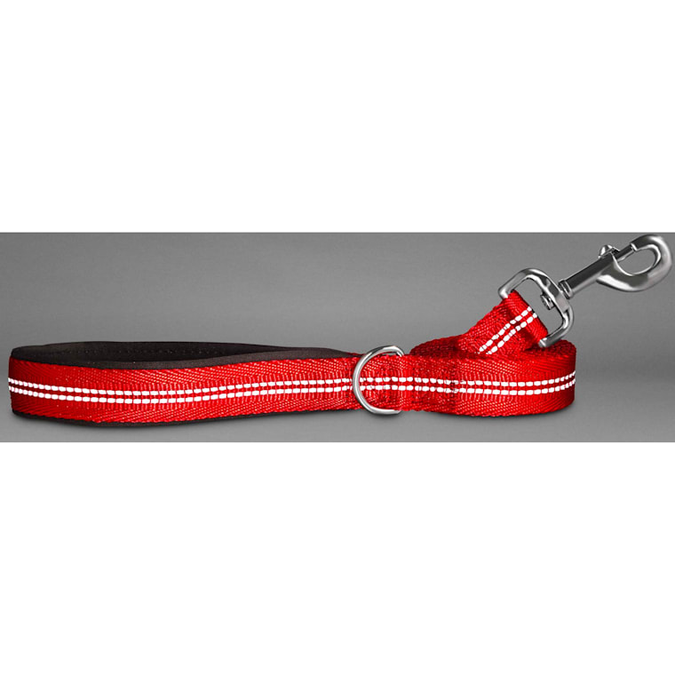 Good2go top reflective leash