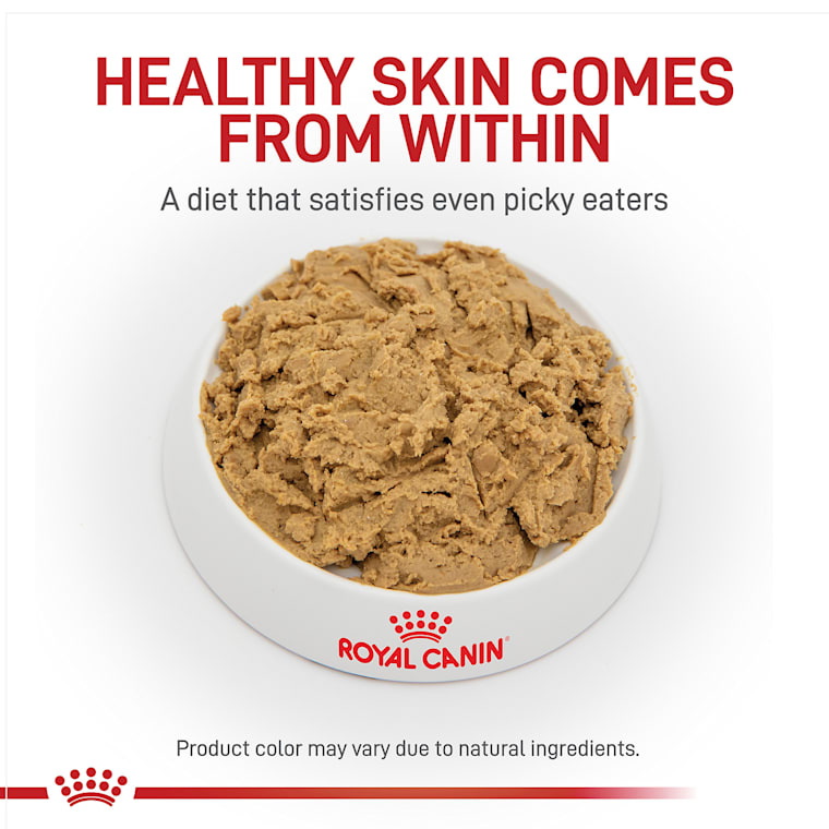 royal canin hydrolyzed protein wet dog food