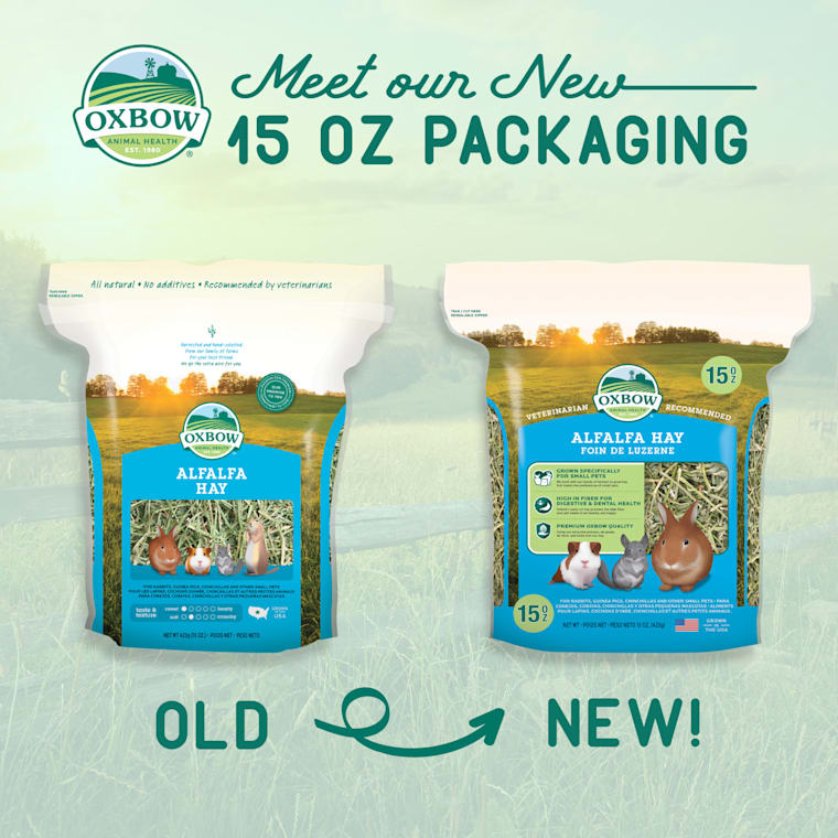 alfalfa hay petco