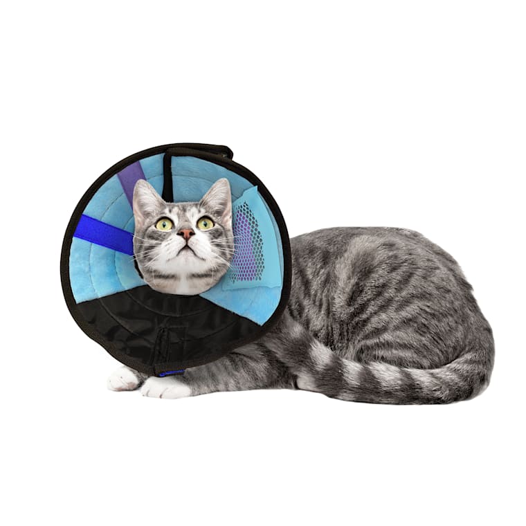 petco calming collar