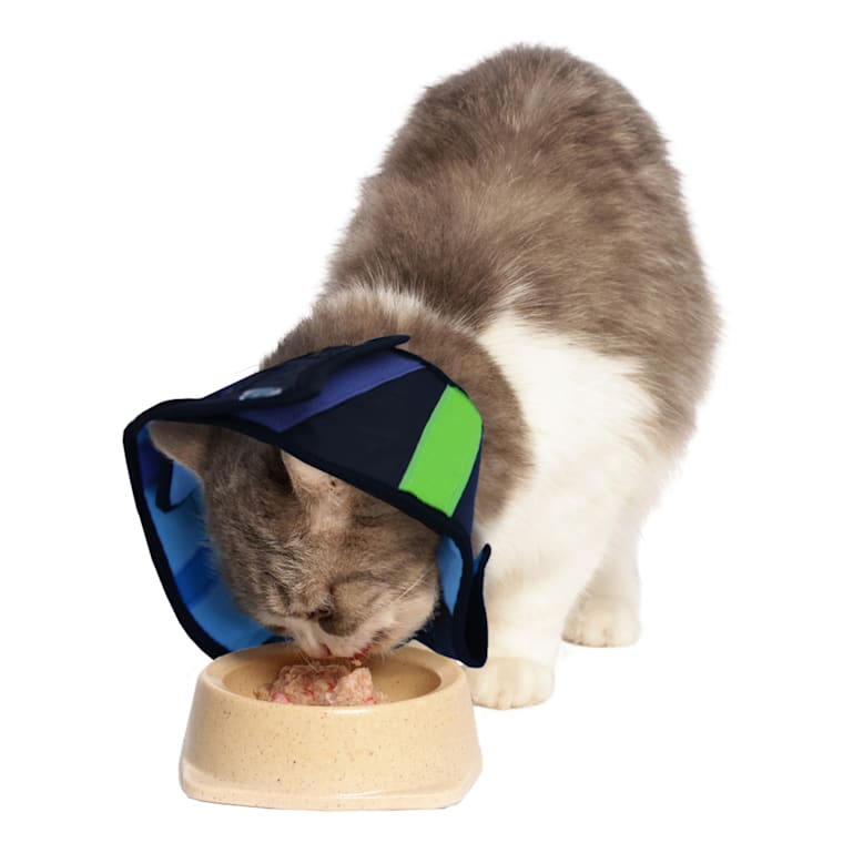 petco calming collar