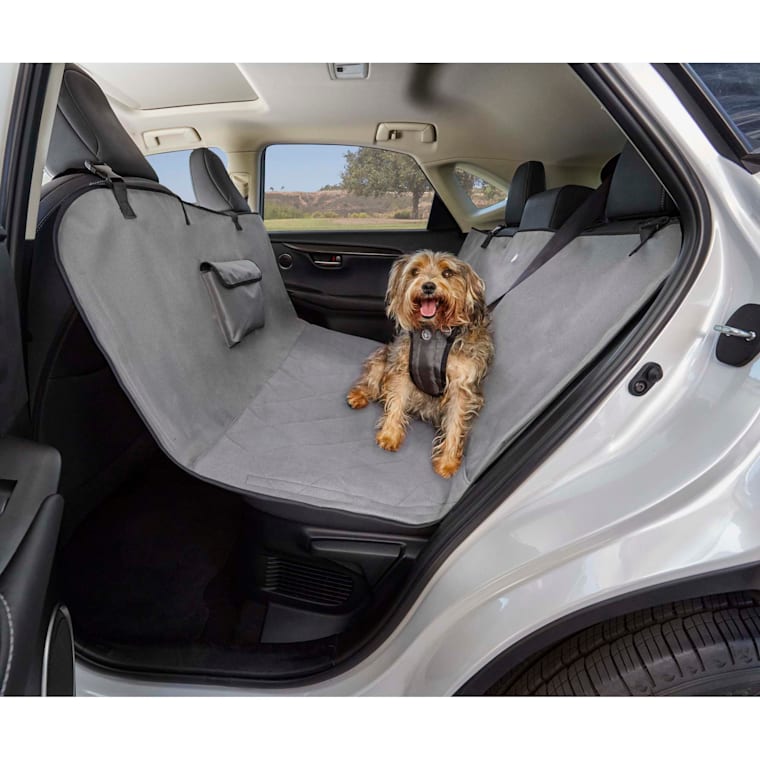 quality siberian husky