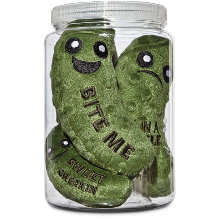 the pickle dog toy