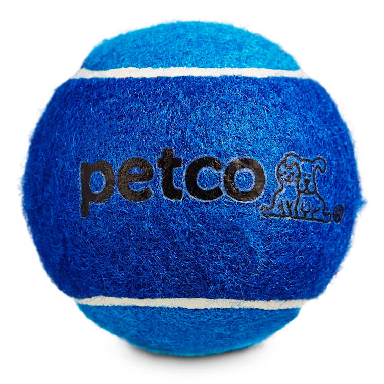 Petco Tennis Ball Dog Toy in Blue, 2.5 