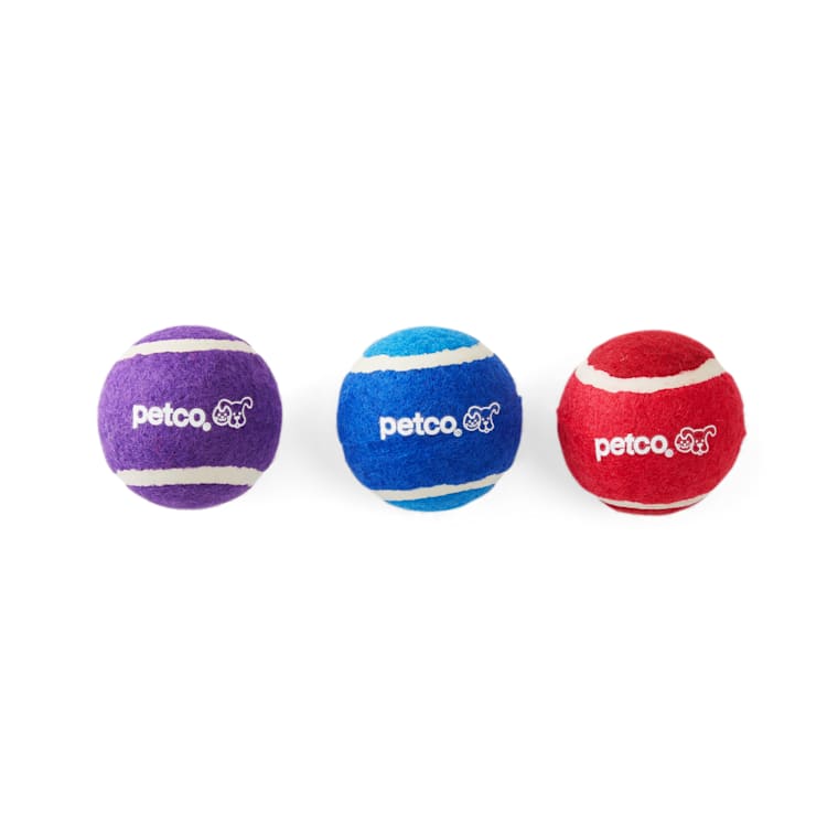 Petco Tennis Ball Dog Toy Set in 