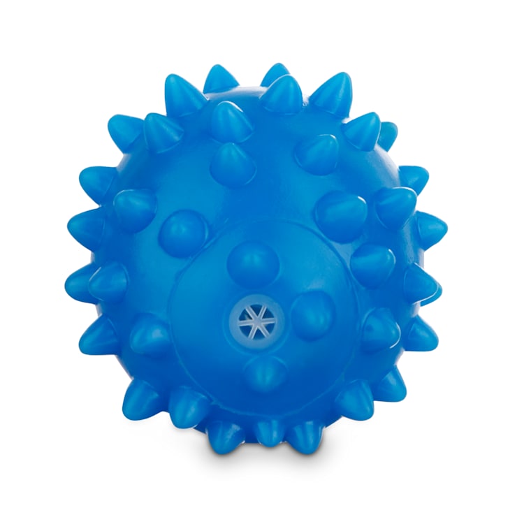 hedgehog price petco