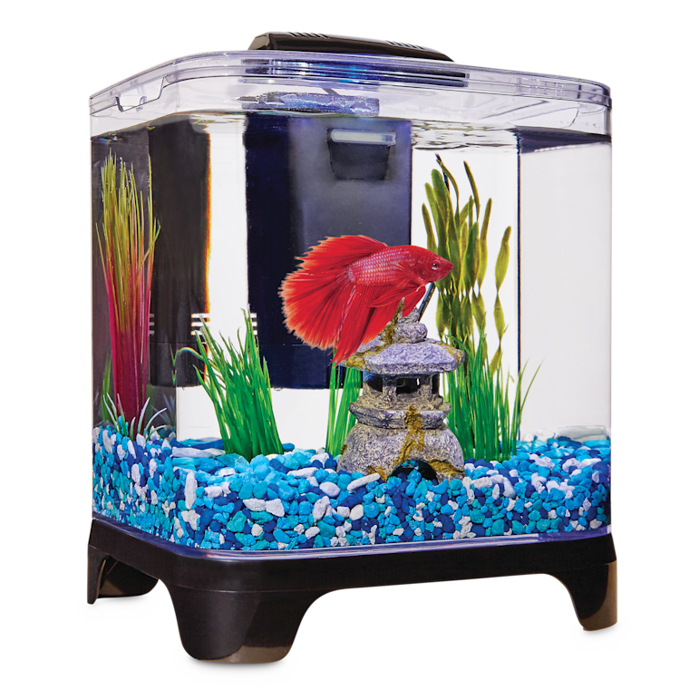 Imagitarium Betta Desktop Kit 1 4 Gal Petco
