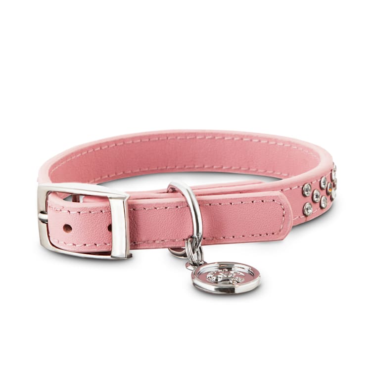 petco leather dog collar