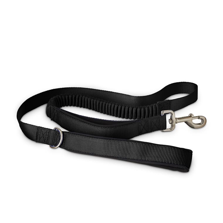 shock absorbing leash attachment
