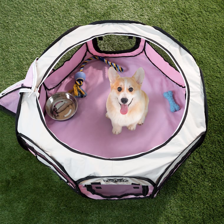 pink dog playpen