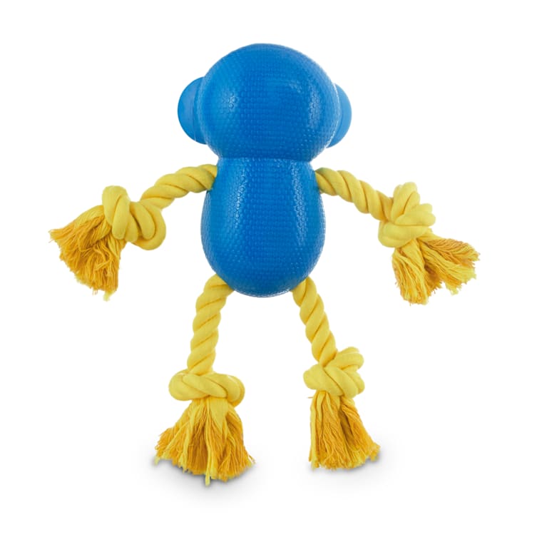 dog toy monkey