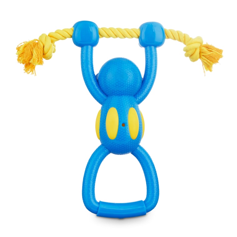 squeaky rubber monkey dog toy
