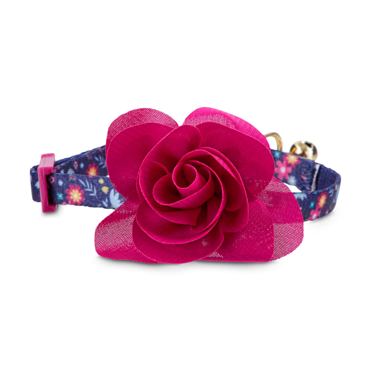 bond & co kitten collar