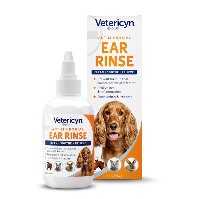 dog ear infection medicine petco