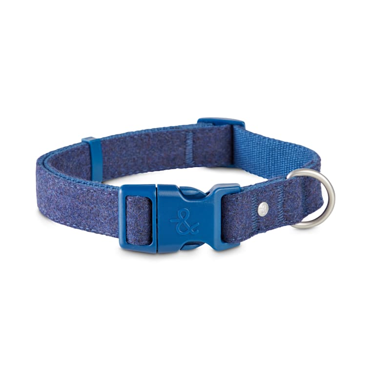 blue tweed dog collar