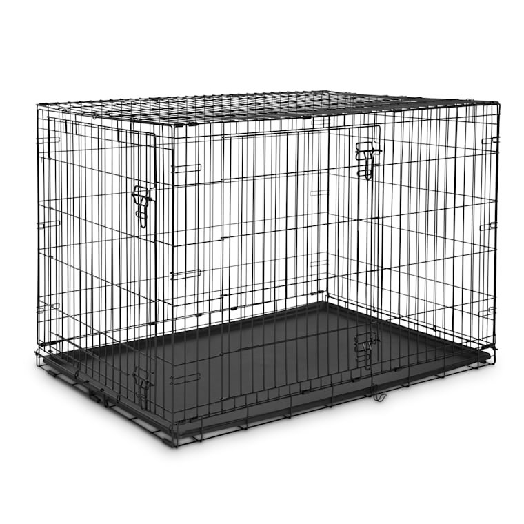petco animaze crate