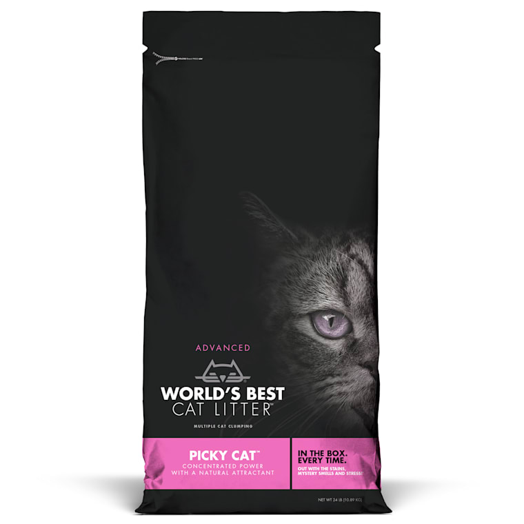 world's best cat litter petco