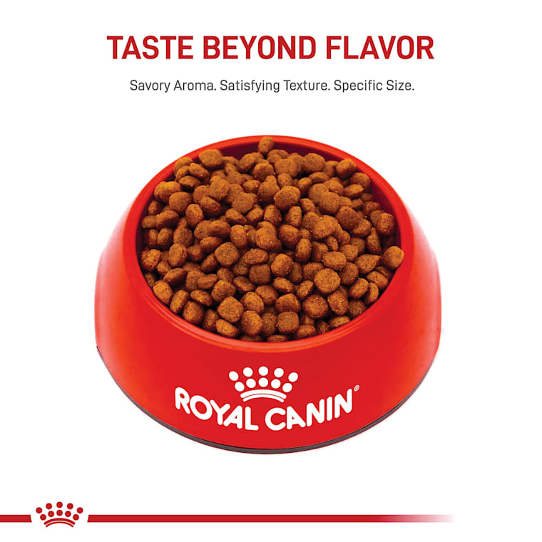 royal canin cavalier king charles puppy dry dog food