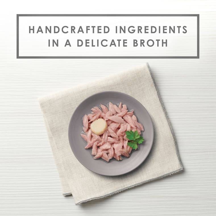 fancy feast appetizers for cats