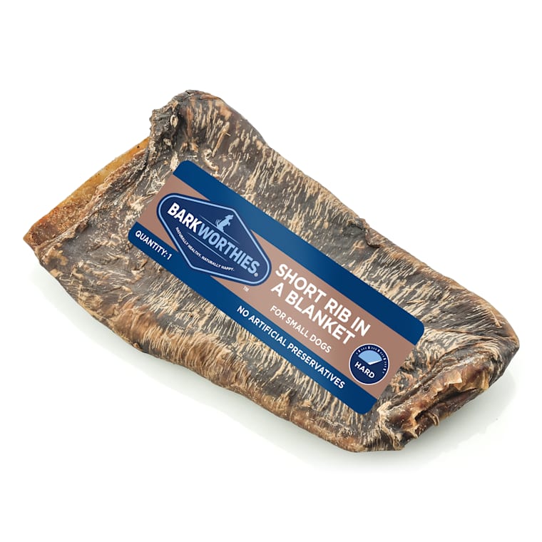 short rib bones for dogs