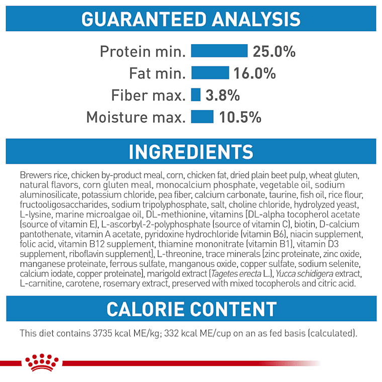 royal canin indoor cat food 10kg