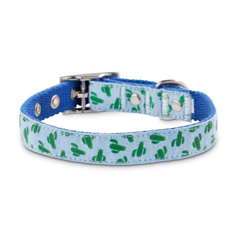 blossom co dog collar