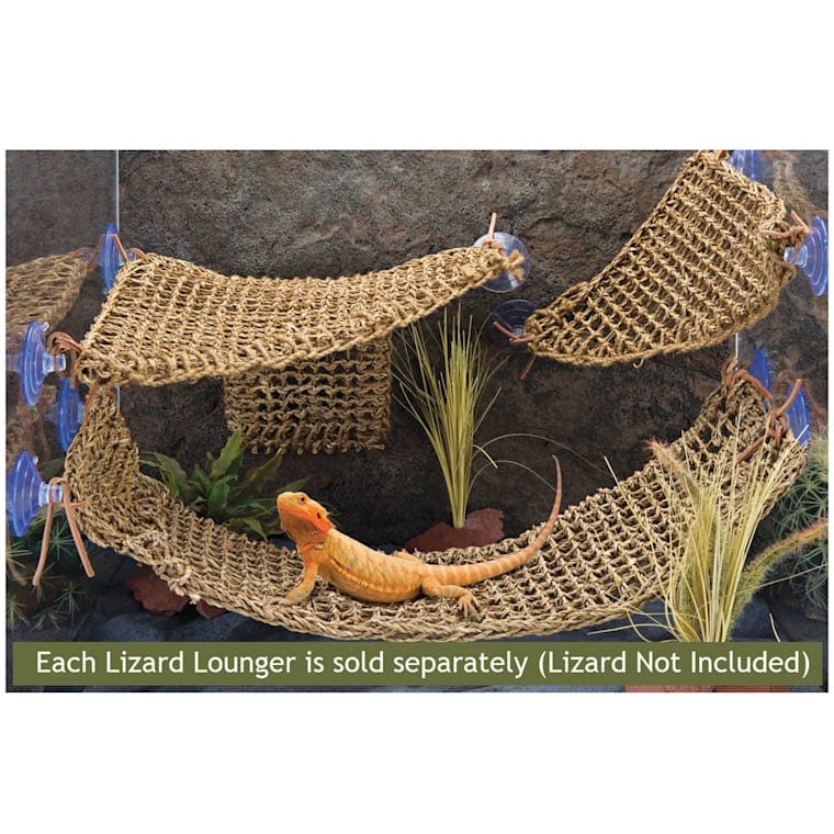 bearded dragon hammock petco
