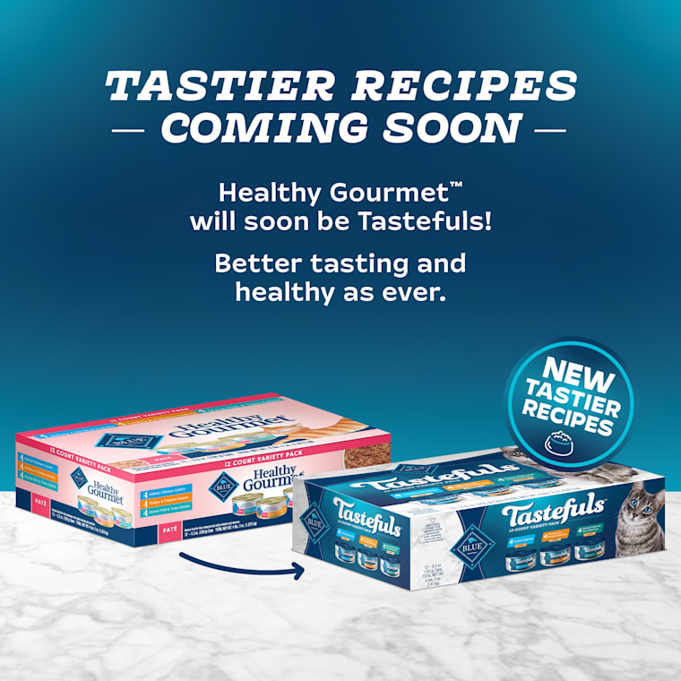 blue buffalo healthy gourmet pate