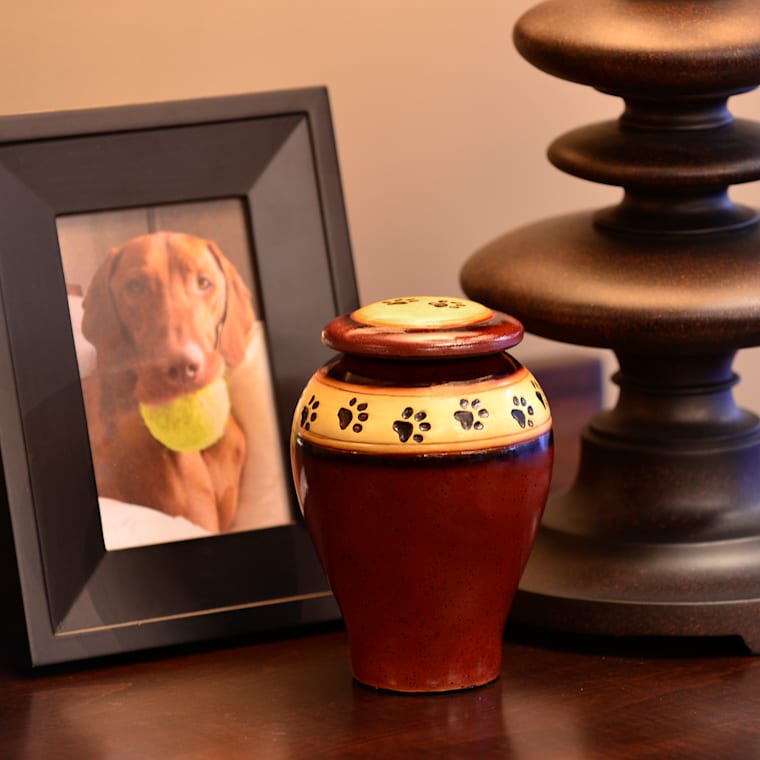 Petco pet urns cheap