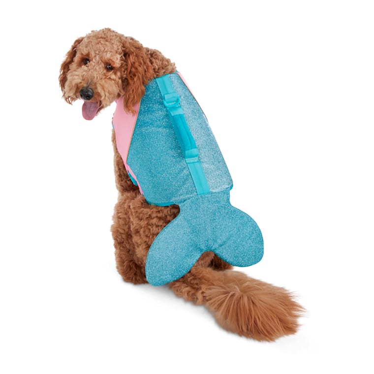 dog buoyancy vest