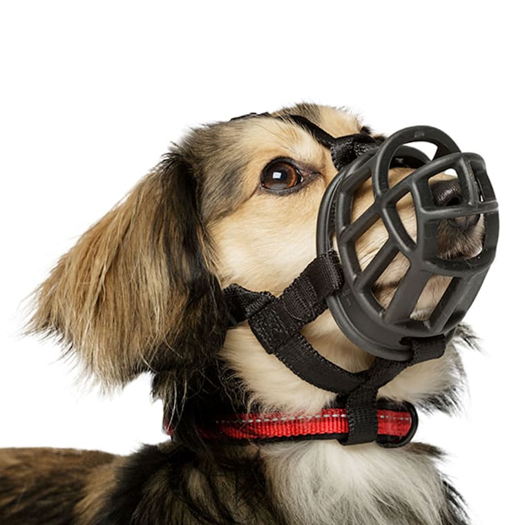 ultra dog muzzle instructions