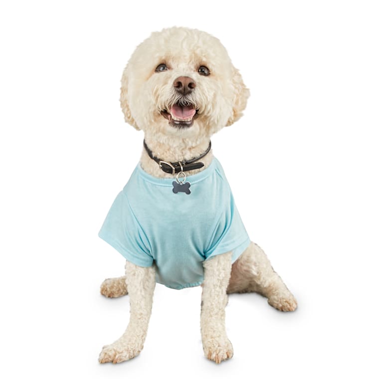 birthday boy dog shirt