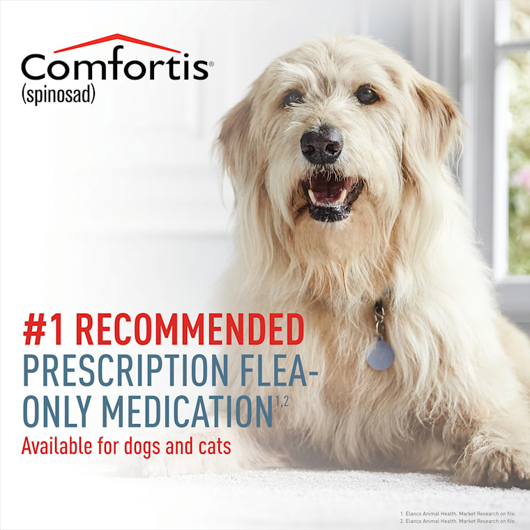 comfortis without rx