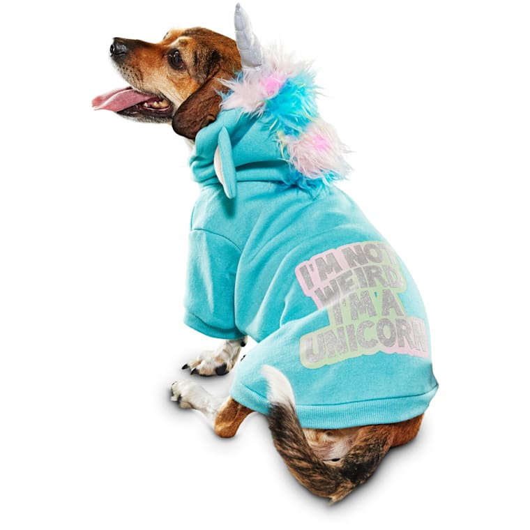 unicorn dog outfit
