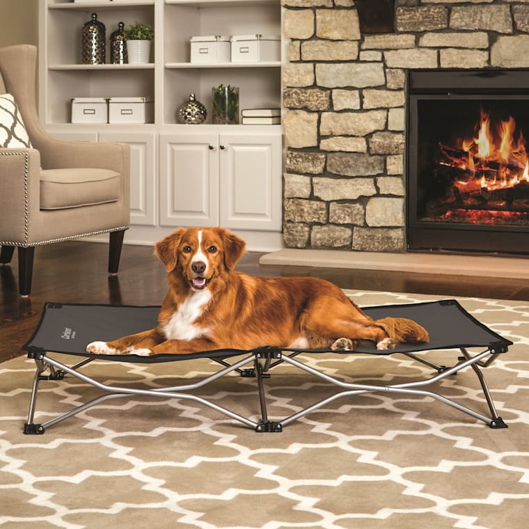 Carlson Elevated Folding Pet Bed 2025